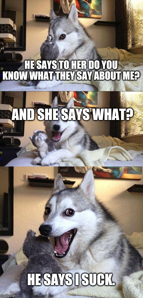 Bad Pun Dog Meme | HE SAYS TO HER DO YOU KNOW WHAT THEY SAY ABOUT ME? AND SHE SAYS WHAT? HE SAYS I SUCK. | image tagged in memes,bad pun dog | made w/ Imgflip meme maker