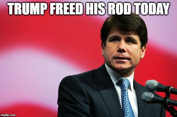 Blagojevich Out | TRUMP FREED HIS ROD TODAY | image tagged in rod blagojevich | made w/ Imgflip meme maker