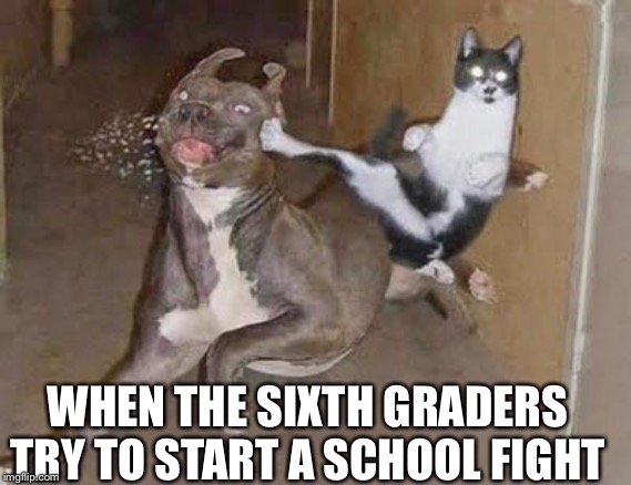 GET REKT | WHEN THE SIXTH GRADERS TRY TO START A SCHOOL FIGHT | image tagged in get rekt | made w/ Imgflip meme maker