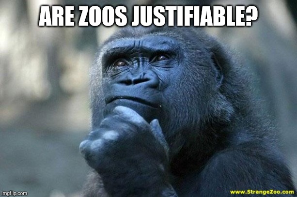 Deep Thoughts | ARE ZOOS JUSTIFIABLE? | image tagged in deep thoughts | made w/ Imgflip meme maker