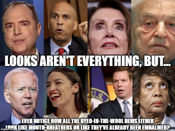 looks aren't everything | LOOKS AREN'T EVERYTHING, BUT... EVER NOTICE HOW ALL THE DYED-IN-THE-WOOL DEMS EITHER LOOK LIKE MOUTH-BREATHERS OR LIKE THEY'VE ALREADY BEEN EMBALMED? | image tagged in democrats | made w/ Imgflip meme maker