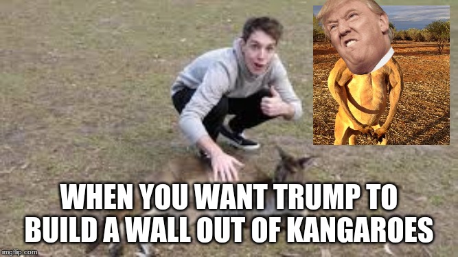 when you want trump to build a wall out of kangaroes | WHEN YOU WANT TRUMP TO BUILD A WALL OUT OF KANGAROES | image tagged in donald trump,lazarbeam | made w/ Imgflip meme maker