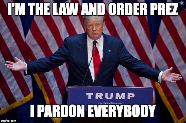 Donald Trump | I'M THE LAW AND ORDER PREZ; I PARDON EVERYBODY | image tagged in donald trump | made w/ Imgflip meme maker