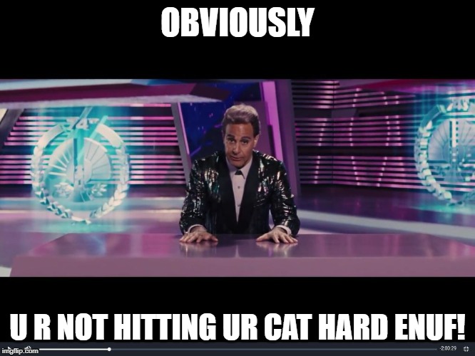 Obviously Obvious News Report  | OBVIOUSLY U R NOT HITTING UR CAT HARD ENUF! | image tagged in obviously obvious news report | made w/ Imgflip meme maker