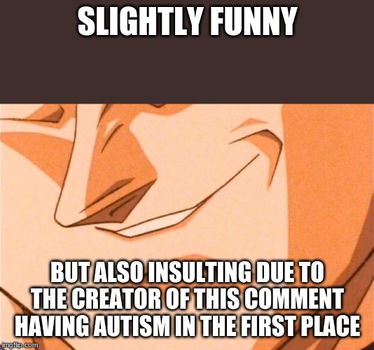 Vegeta spittin | SLIGHTLY FUNNY BUT ALSO INSULTING DUE TO THE CREATOR OF THIS COMMENT HAVING AUTISM IN THE FIRST PLACE | image tagged in vegeta spittin | made w/ Imgflip meme maker