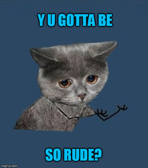 Y u no sad cat | Y U GOTTA BE SO RUDE? | image tagged in y u no sad cat | made w/ Imgflip meme maker