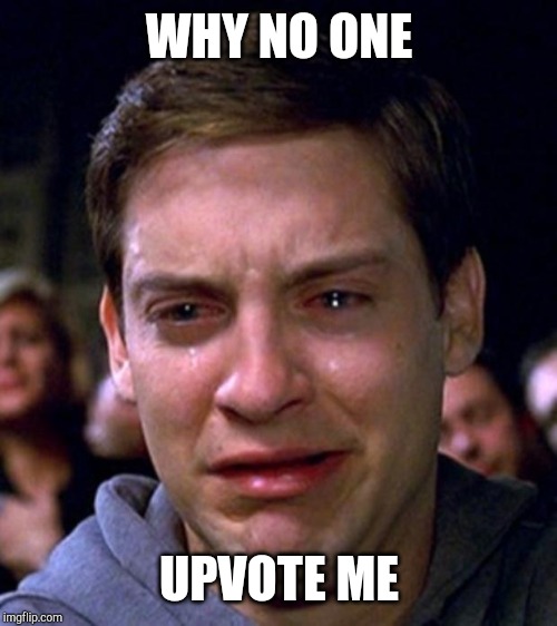 crying peter parker | WHY NO ONE UPVOTE ME | image tagged in crying peter parker | made w/ Imgflip meme maker