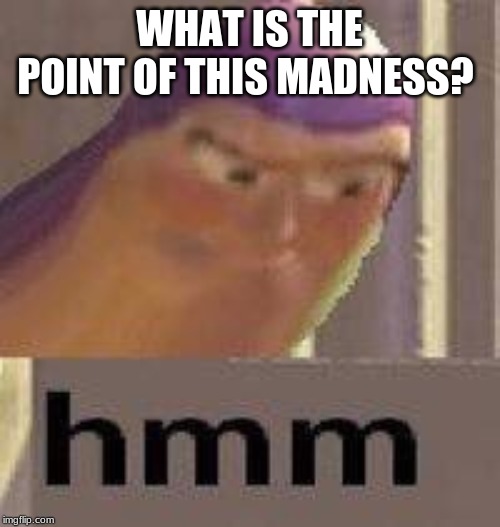 Buzz Lightyear Hmm | WHAT IS THE POINT OF THIS MADNESS? | image tagged in buzz lightyear hmm | made w/ Imgflip meme maker