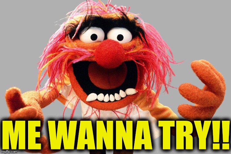 animal muppets | ME WANNA TRY!! | image tagged in animal muppets | made w/ Imgflip meme maker