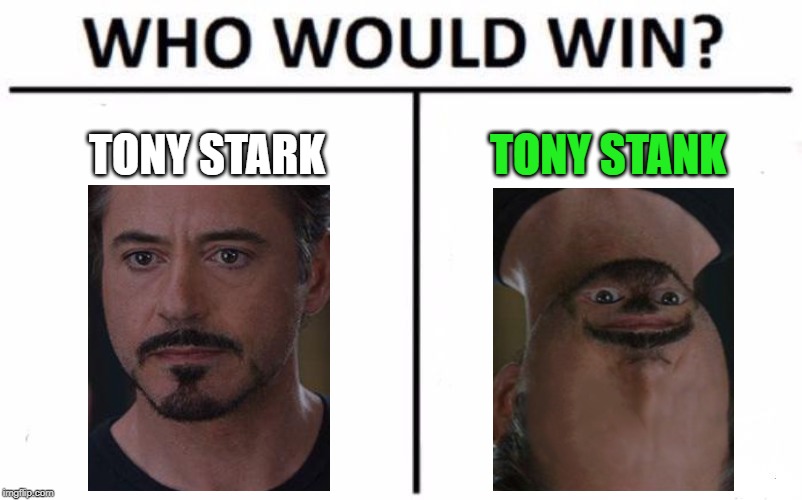 Who Would Win? Meme | TONY STARK; TONY STANK | image tagged in memes,who would win | made w/ Imgflip meme maker