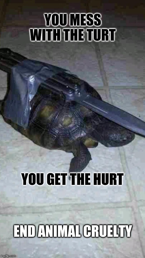 Stop Animal Cruelty | YOU MESS WITH THE TURT; YOU GET THE HURT; END ANIMAL CRUELTY | image tagged in memes,funny,funny memes,fun,animals,awareness | made w/ Imgflip meme maker