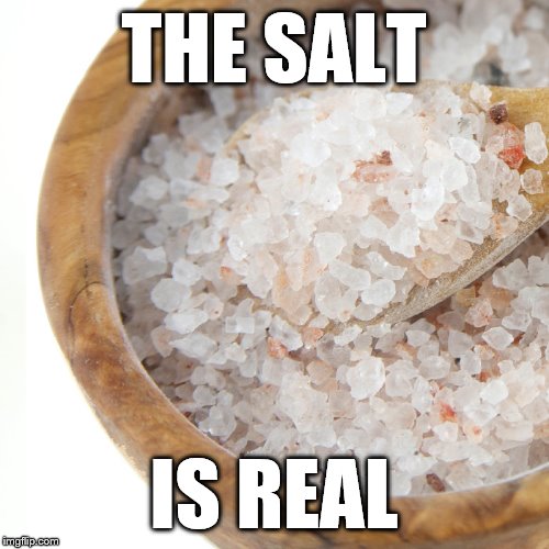The Salt Is Real | THE SALT; IS REAL | image tagged in salt,funny,salty,truth,real life | made w/ Imgflip meme maker
