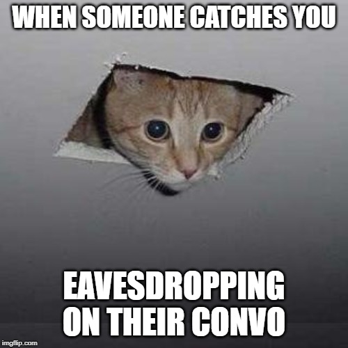 Ceiling Cat | WHEN SOMEONE CATCHES YOU; EAVESDROPPING ON THEIR CONVO | image tagged in memes,ceiling cat | made w/ Imgflip meme maker