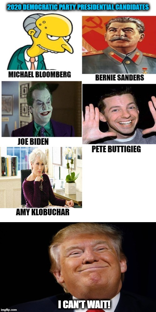 2020 DEMOCRATIC PARTY PRESIDENTIAL CANDIDATES; I CAN'T WAIT! | image tagged in democrats,democratic party,president trump,election 2020 | made w/ Imgflip meme maker