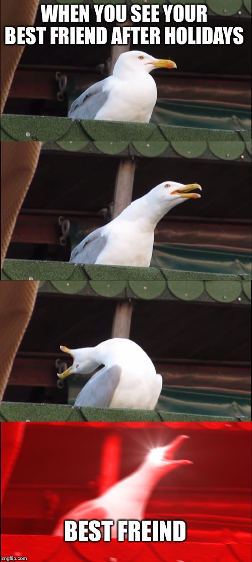 Inhaling Seagull | WHEN YOU SEE YOUR BEST FRIEND AFTER HOLIDAYS; BEST FREIND | image tagged in memes,inhaling seagull | made w/ Imgflip meme maker