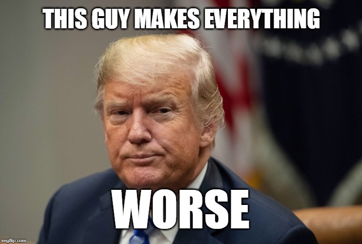 THIS GUY MAKES EVERYTHING; WORSE | image tagged in trump | made w/ Imgflip meme maker