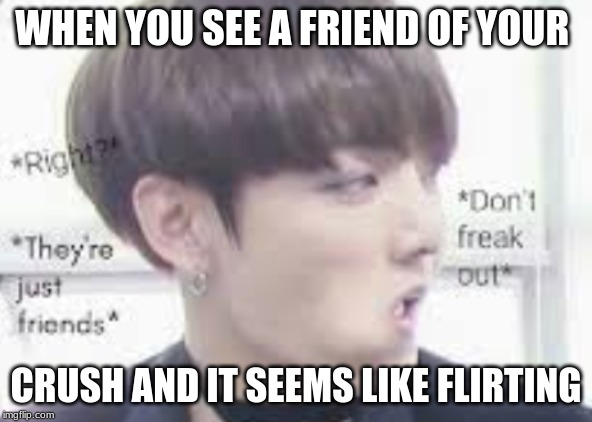 WHEN YOU SEE A FRIEND OF YOUR; CRUSH AND IT SEEMS LIKE FLIRTING | image tagged in crush | made w/ Imgflip meme maker