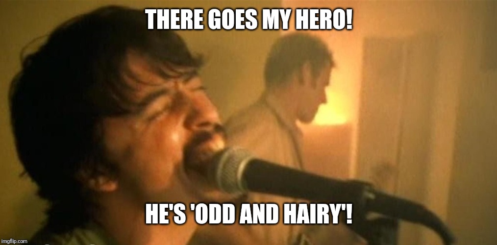 The Foo Fighters | THERE GOES MY HERO! HE'S 'ODD AND HAIRY'! | image tagged in the foo fighters | made w/ Imgflip meme maker