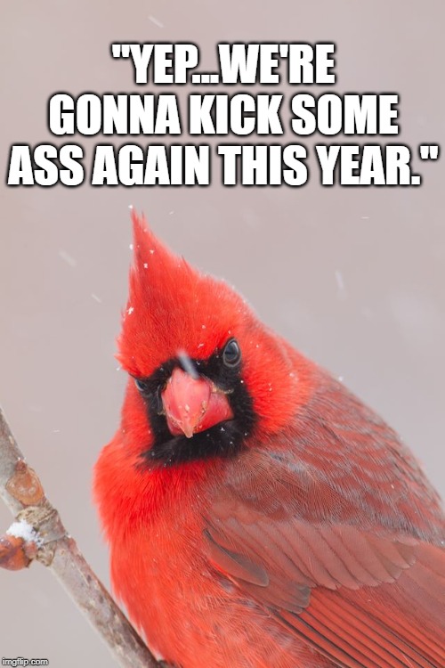 redbirds rock | "YEP...WE'RE GONNA KICK SOME ASS AGAIN THIS YEAR." | image tagged in cardinals,sports fans | made w/ Imgflip meme maker