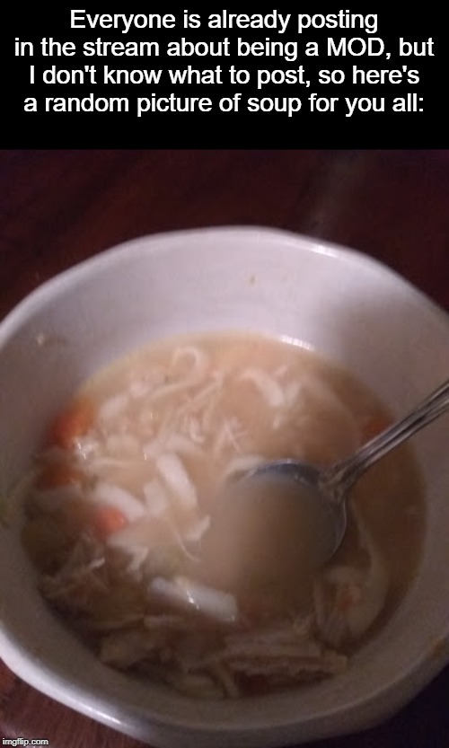 I don't know, maybe you do? | Everyone is already posting in the stream about being a MOD, but I don't know what to post, so here's a random picture of soup for you all: | image tagged in soup nazi,soup,no soup for you,no soup | made w/ Imgflip meme maker
