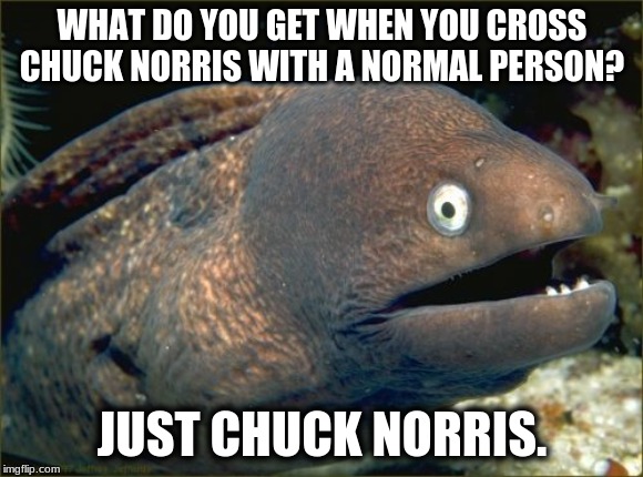 Ha. Ha ha. Ha...uh oh i laughed too soon | WHAT DO YOU GET WHEN YOU CROSS CHUCK NORRIS WITH A NORMAL PERSON? JUST CHUCK NORRIS. | image tagged in memes,bad joke eel,chuck norris,cross | made w/ Imgflip meme maker