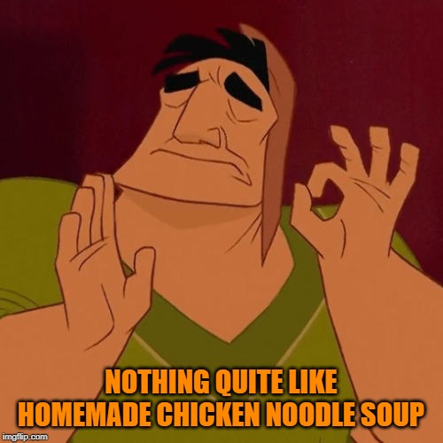When X just right | NOTHING QUITE LIKE HOMEMADE CHICKEN NOODLE SOUP | image tagged in when x just right | made w/ Imgflip meme maker