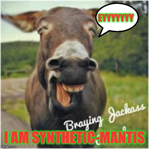 EYYYYYYY I AM SYNTHETIC-MANTIS | made w/ Imgflip meme maker