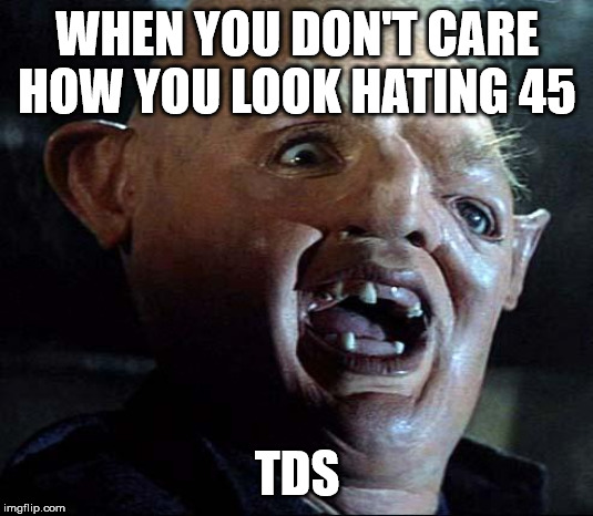 Sloth Goonies | WHEN YOU DON'T CARE HOW YOU LOOK HATING 45 TDS | image tagged in sloth goonies | made w/ Imgflip meme maker
