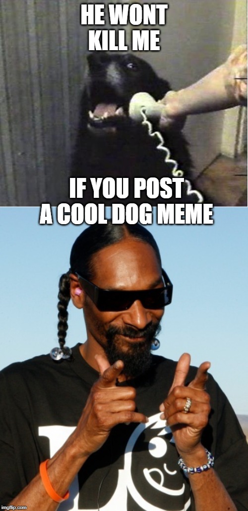 Its come to this | HE WONT KILL ME; IF YOU POST A COOL DOG MEME | image tagged in yes this is dog,snoop dogg approves,fun,memes,funny memes | made w/ Imgflip meme maker