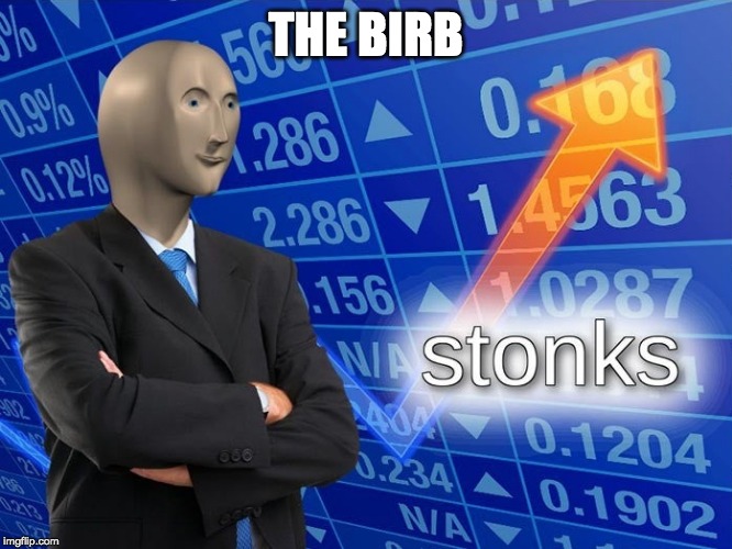 Stonks | THE BIRB | image tagged in stonks | made w/ Imgflip meme maker