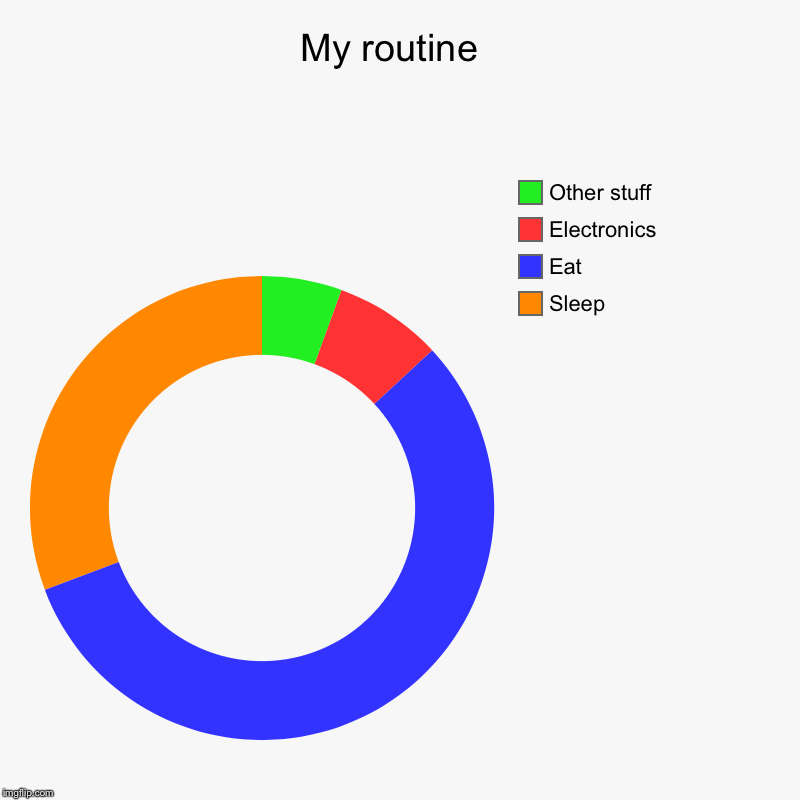 My routine  | Sleep, Eat, Electronics , Other stuff | image tagged in charts,donut charts | made w/ Imgflip chart maker