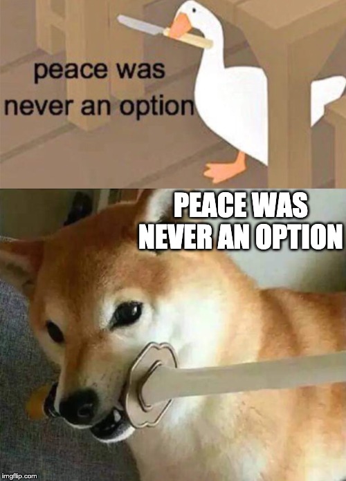 MUCH WOW (a brand new peace was never an option meme) | PEACE WAS NEVER AN OPTION | image tagged in untitled goose peace was never an option,doge peace was never an option,doge,much wow,memes | made w/ Imgflip meme maker