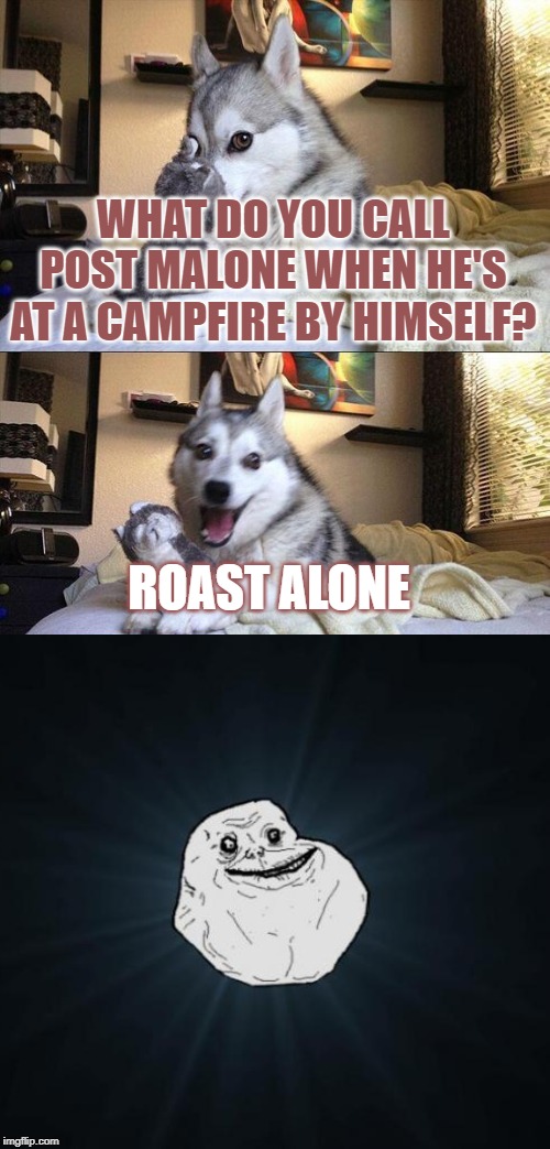 Bad Pun Dog | WHAT DO YOU CALL POST MALONE WHEN HE'S AT A CAMPFIRE BY HIMSELF? ROAST ALONE | image tagged in memes,bad pun dog,forever alone,post malone,campfire,marshmallows | made w/ Imgflip meme maker