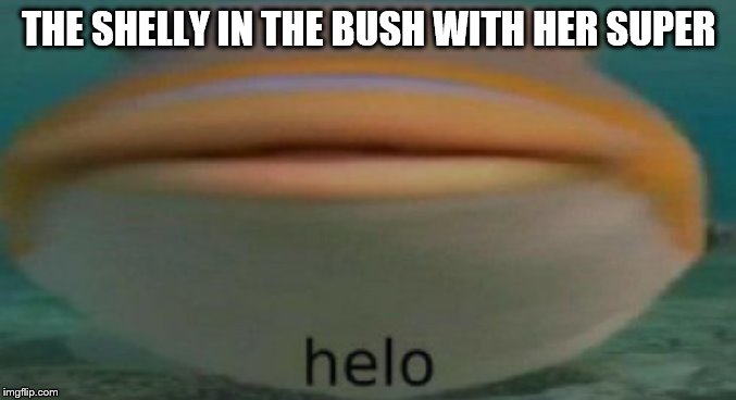 helo | THE SHELLY IN THE BUSH WITH HER SUPER | image tagged in helo | made w/ Imgflip meme maker