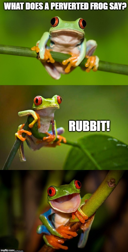 Horny Toad | WHAT DOES A PERVERTED FROG SAY? RUBBIT! | image tagged in frog puns | made w/ Imgflip meme maker