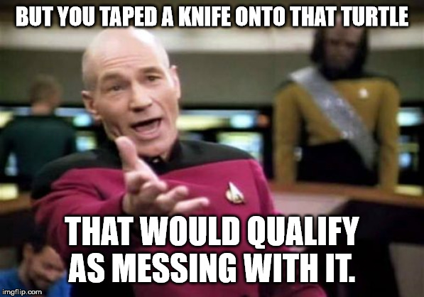 Picard Wtf Meme | BUT YOU TAPED A KNIFE ONTO THAT TURTLE THAT WOULD QUALIFY AS MESSING WITH IT. | image tagged in memes,picard wtf | made w/ Imgflip meme maker