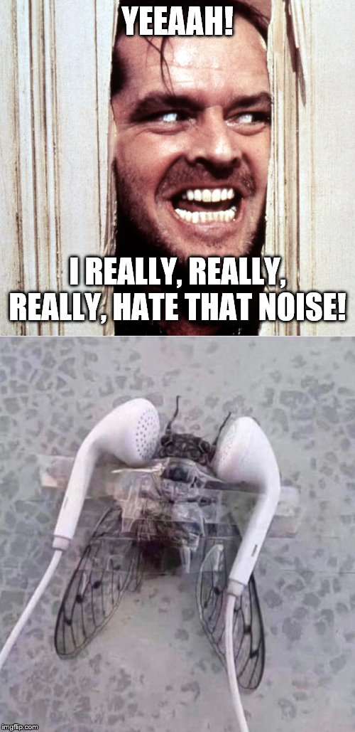YEEAAH! I REALLY, REALLY, REALLY, HATE THAT NOISE! | image tagged in here's johny | made w/ Imgflip meme maker