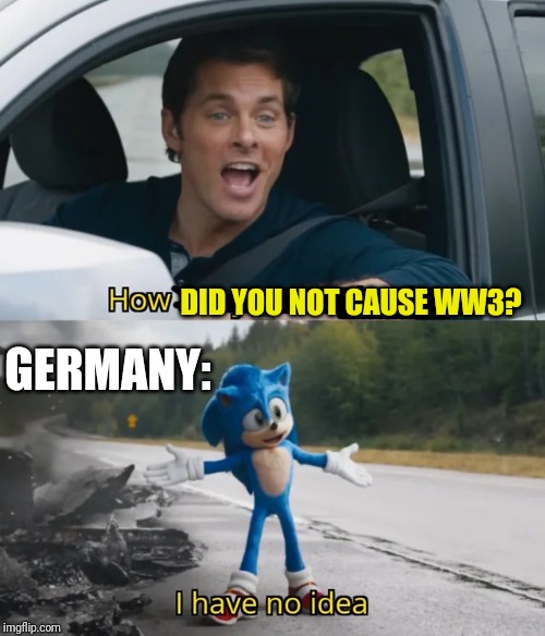 Surprised, But Confused | DID YOU NOT CAUSE WW3? GERMANY: | image tagged in sonic i have no idea | made w/ Imgflip meme maker