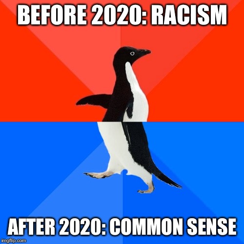 Socially Awesome Awkward Penguin Meme | BEFORE 2020: RACISM AFTER 2020: COMMON SENSE | image tagged in memes,socially awesome awkward penguin | made w/ Imgflip meme maker