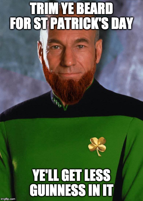 St Patrick Stewart | TRIM YE BEARD FOR ST PATRICK'S DAY; YE'LL GET LESS GUINNESS IN IT | image tagged in st patrick stewart | made w/ Imgflip meme maker