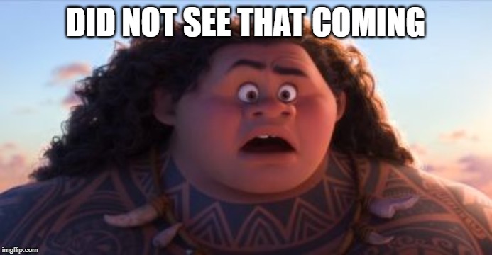 Did not see that coming - Maui | DID NOT SEE THAT COMING | image tagged in did not see that coming - maui | made w/ Imgflip meme maker