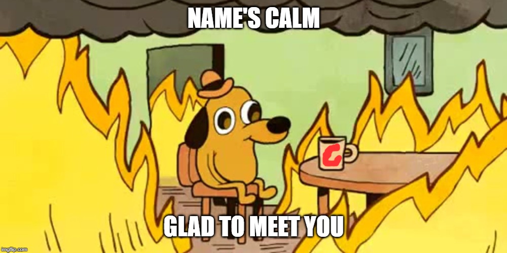Dog on fire | NAME'S CALM GLAD TO MEET YOU | image tagged in dog on fire | made w/ Imgflip meme maker