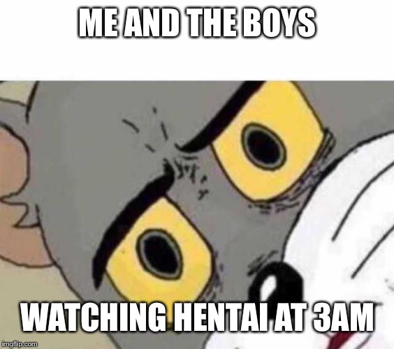 Tom Cat Unsettled Close up | ME AND THE BOYS; WATCHING HENTAI AT 3AM | image tagged in tom cat unsettled close up | made w/ Imgflip meme maker