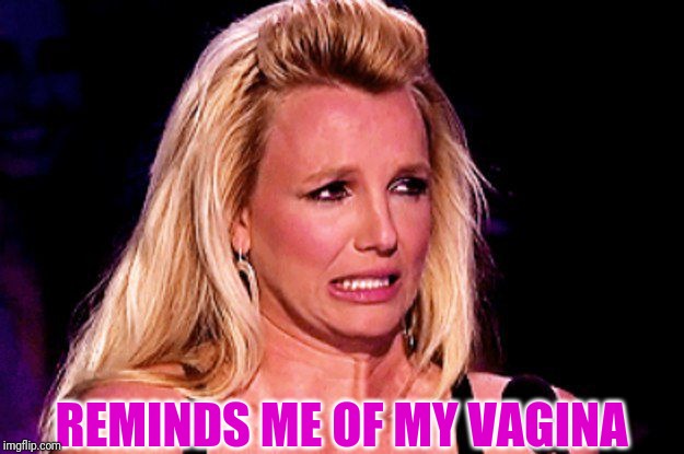 Britney spears | REMINDS ME OF MY VA**NA | image tagged in britney spears | made w/ Imgflip meme maker
