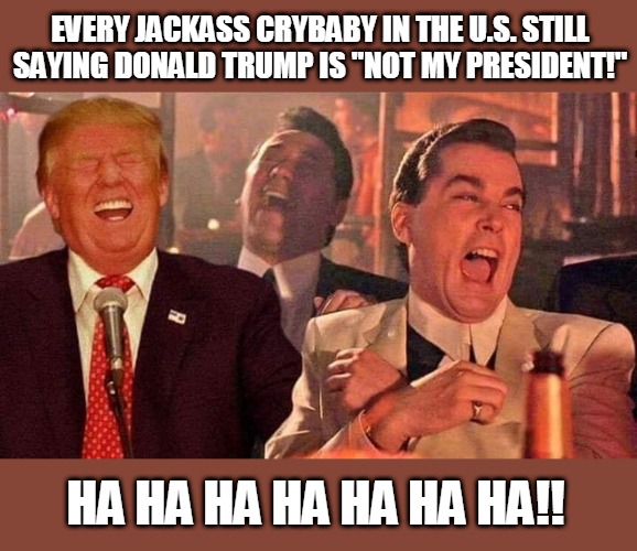 Orange You Happy? | EVERY JACKASS CRYBABY IN THE U.S. STILL SAYING DONALD TRUMP IS "NOT MY PRESIDENT!"; HA HA HA HA HA HA HA!! | image tagged in goodfellas laugh,trump for president,goodfellas laughing,orange,trump laughing | made w/ Imgflip meme maker