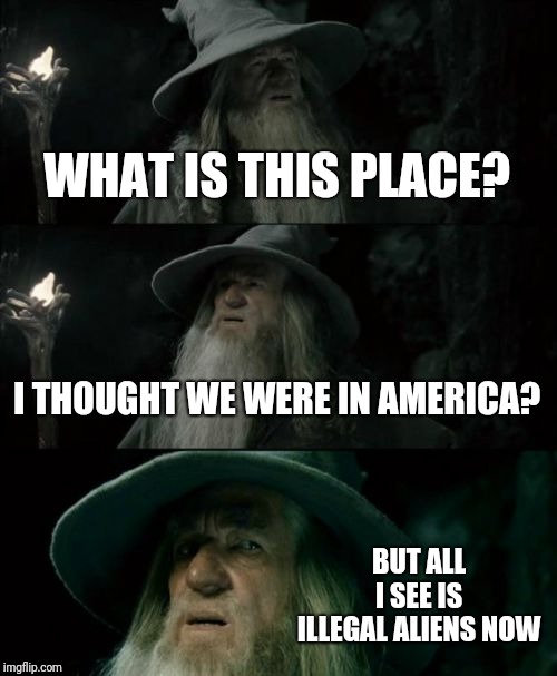 Me too buddy. | WHAT IS THIS PLACE? I THOUGHT WE WERE IN AMERICA? BUT ALL I SEE IS ILLEGAL ALIENS NOW | image tagged in memes,confused gandalf,america,illegal immigration | made w/ Imgflip meme maker