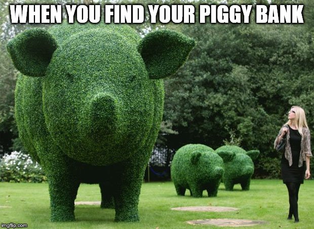 piggy bank green | WHEN YOU FIND YOUR PIGGY BANK | image tagged in pig | made w/ Imgflip meme maker