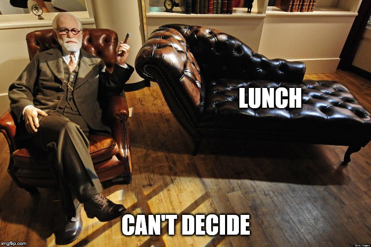 can't decide about lunch | LUNCH; CAN'T DECIDE | image tagged in freud couch | made w/ Imgflip meme maker