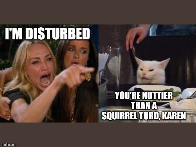 Woman Screaming at Cat | I'M DISTURBED; YOU'RE NUTTIER THAN A SQUIRREL TURD, KAREN | image tagged in woman screaming at cat | made w/ Imgflip meme maker
