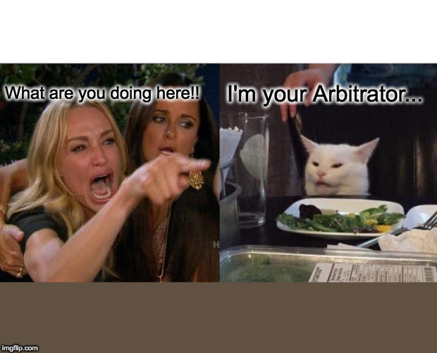 Woman Yelling At Cat Meme | What are you doing here!! I'm your Arbitrator... | image tagged in memes,woman yelling at cat | made w/ Imgflip meme maker